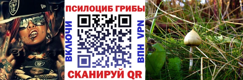 Псилоцибиновые грибы мухоморы  Пыталово 